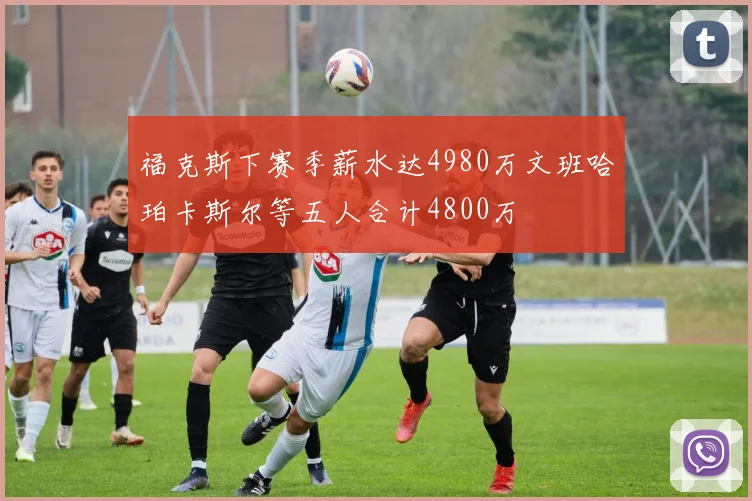 福克斯下赛季薪水达4980万文班哈珀卡斯尔等五人合计4800万