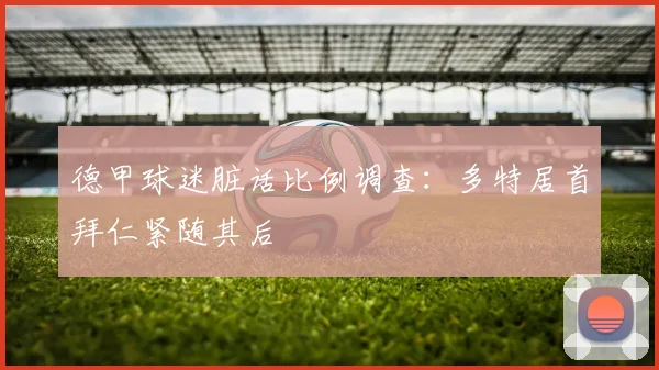德甲球迷脏话比例调查：多特居首拜仁紧随其后