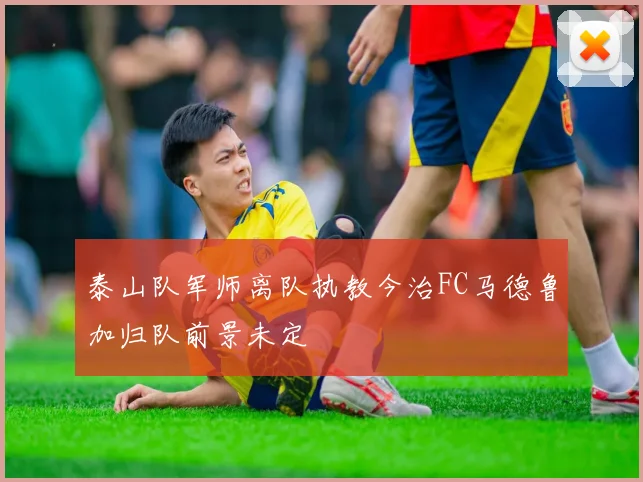 泰山队军师离队执教今治FC马德鲁加归队前景未定